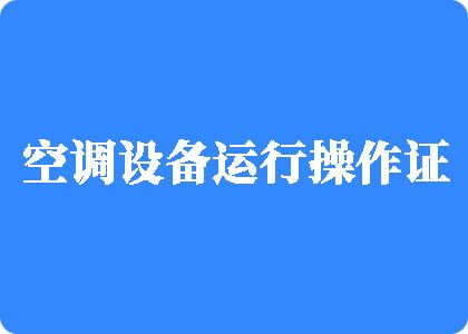 少萝白虎骚逼网站制冷工证